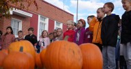 Using pumpkins to teach kids about where food comes from