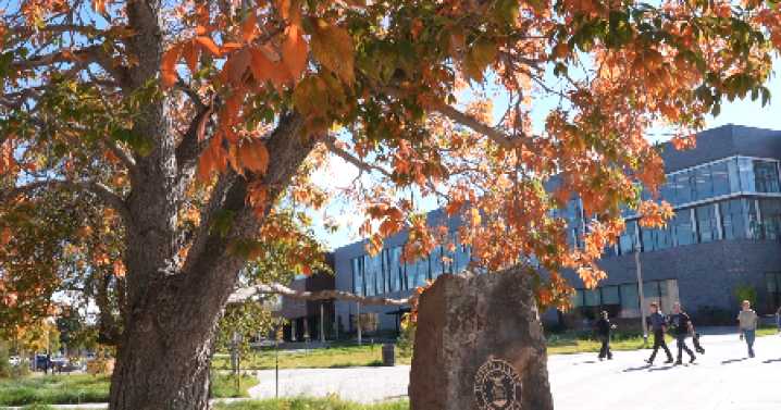 Monday Headlines: Cold & snow, Stockman reopens, MSU Veterans Park