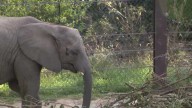 Omaha Henry Doorly Zoo Partners with Nature Conservancy to Help Animals and Prairies