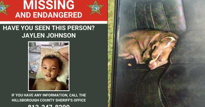 Deputies search for missing, endangered toddler last seen in Tampa: HCSO