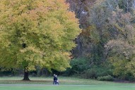 N.J. county connects greenway with purchase of vacant, wooded land