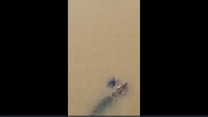 Video: Crocodile drags woman into river in Odisha, locals watch in horror