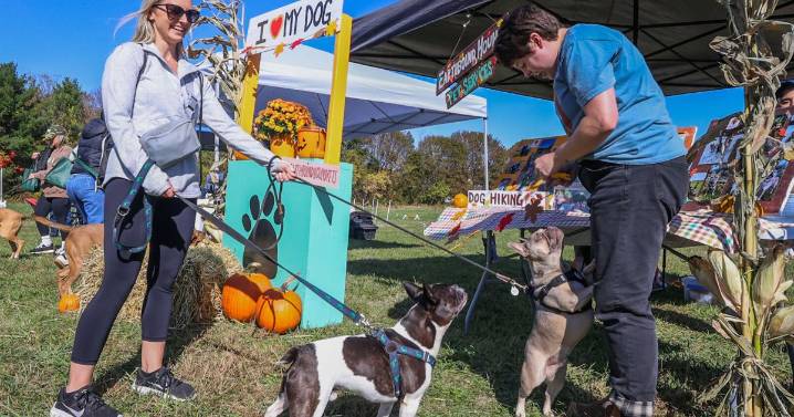 Another Barktoberfest in the books