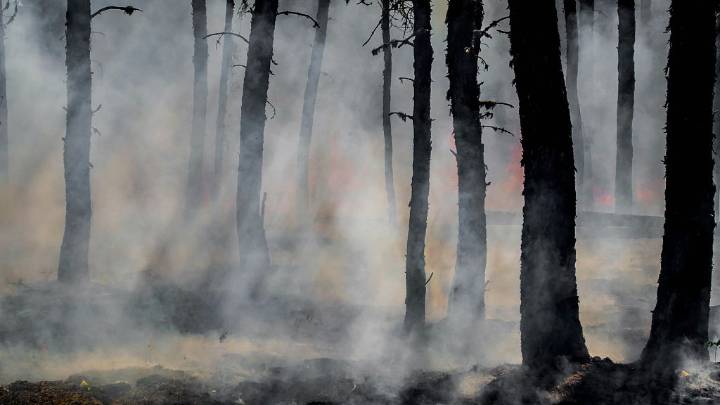 From Australia to the Amazon: How climate change is turning forests into firestorms