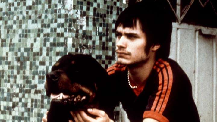 'Sueño Perro': Iñárritu Desentierra el Alma de 'Amores perros' en una Instalación Inmersiva
