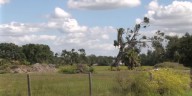Sarasota County commissioners deny housing development near celery fields