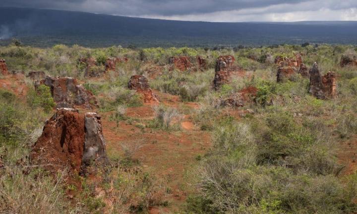 Malasia busca inversión extranjera para impulsar su industria de tierras raras