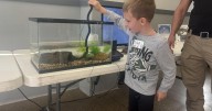 Families interact with hands-on STEM activities at Danville event