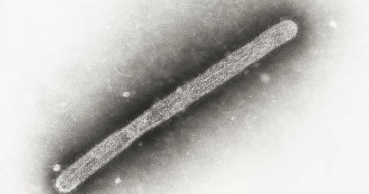 First case of bird flu in commercial flock reported in Grant County