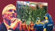 Comisarías y cuarteles se llenan de marihuana porque el Gobierno no facilita almacenes: "Sufrimos mareos"