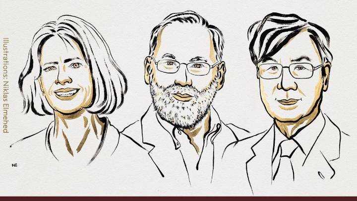 Medicine Nobel 2025 awarded to trio for peripheral immune tolerance discovery