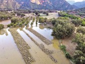 Acusan a Menchaca de desdeñar al campo ante las lluvias; campesinos lanzan reclamos