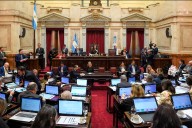 Financiamiento Universitario y Emergencia pediátrica: cómo votó cada uno de los senadores