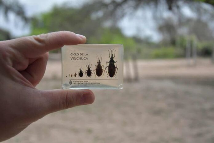 Con aporte científico de la UNNE desarrollan una vacuna nasal para tratar el Chagas