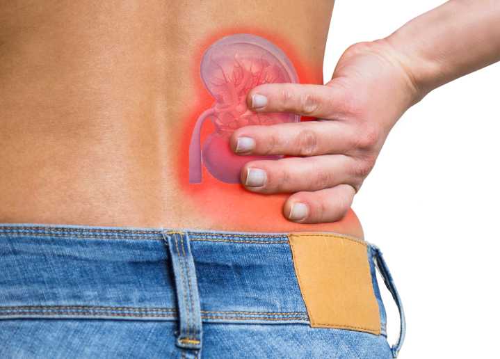 One in 14 Telangana adults face kidney damage as South India tops risk list