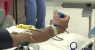 OBI forced to ship blood from East Coast as need outpaces local supply