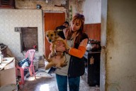 El municipio retiró ocho animales de una vivienda usurpada