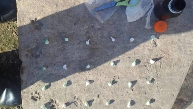 CORRIENTES: Desbarataron Un Kiosco De Narcomenudeo Y Secuestraron Cocaína En Un Allanamiento