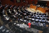 Senado aprueba tres leyes del paquete fiscal: impuestos a bebidas azucaradas, tabaco y videojuegos