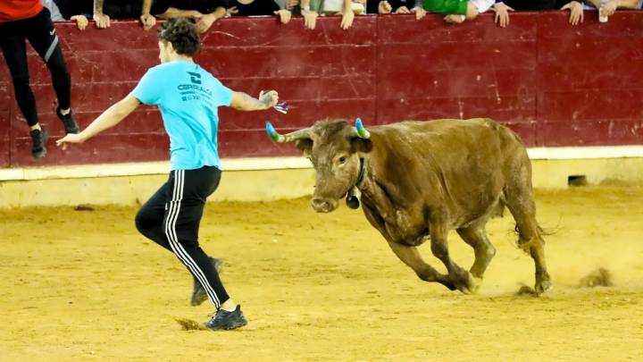 Horario y dónde ver las vaquillas de Zaragoza en directo por el Pilar 2025