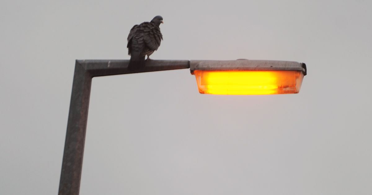 Exactly when Coventry roads get LED streetlights as timeline announced