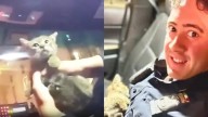 Noble gesto de policía que rescató gatito atrapado en un camión y lo adoptó