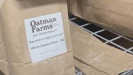 Oatman Farms wheat being used at Queen Creek school