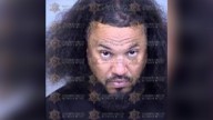 Service dog stolen in Mesa, suspect arrested: PD