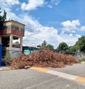 Escombros de árboles caídos a consecuencia de los últimos aguaceros siguen en plena calle