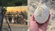 Primer hito del streaming del Conicet: encontraron un huevo de dinosaurio carnívoro en la Patagonia