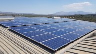 Andalucía, líder en proyectos de energía agrivoltaica en el olivar