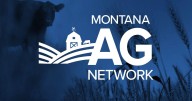 Government shutdown stalls USDA payments, leaving some Montana farmers in limbo