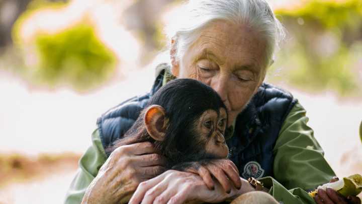Conservationist Jane Goodall dies at 91