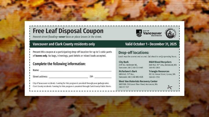 Clark County residents encouraged to dispose of fallen leaves properly