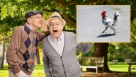 Conservative Spreads Dangerous Misinformation About A Chicken Crossing The Road