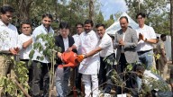 Pune: Hyundai Motor India Foundation Marks Milestone of 5 Lakh Trees Planted at IONIQ Forest At Dange Chowk 