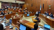 Diputados de San Juan aprobaron una declaración para que la provincia no sea excluida de Zona Fría