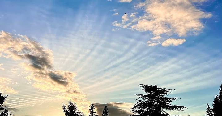 Woven Sky
