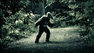 105 Bigfoot sightings in Idaho: Creature has excellent taste in real estate