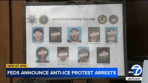 SoCal ICE raids: 10 arrested for allegedly interfering in immigration enforcement