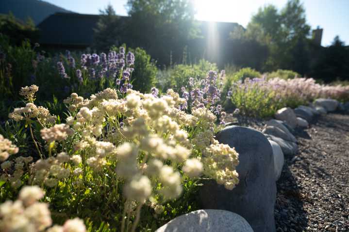 Thriving Landscapes: How fire-resistant, water-Wise, native landscapes support each other