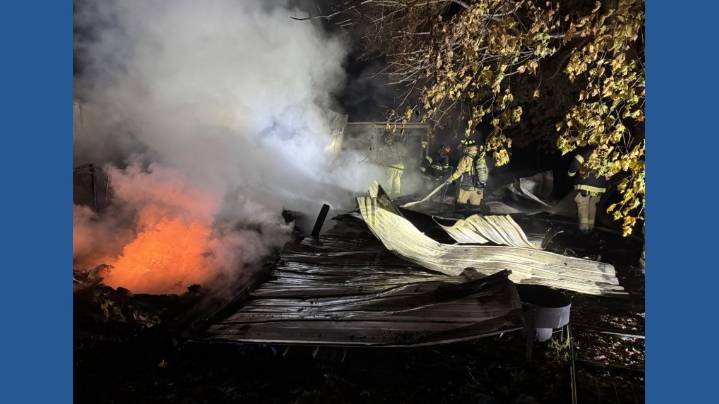 Tragic fire claims lives of dogs and puppies near South Haven