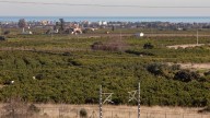 Gigafactoría: Critican el "ocultismo" de la Generalitat en la expropiación en Sagunt para las fotovoltaicas