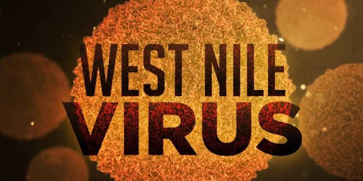 Birds in Brewer and Surry test positive for West Nile Virus