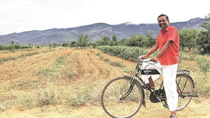 Made-in-India Zoho has government support. So why not?