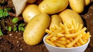 Processed potato products from India gaining  ground in Southeast Asian markets: GTRI