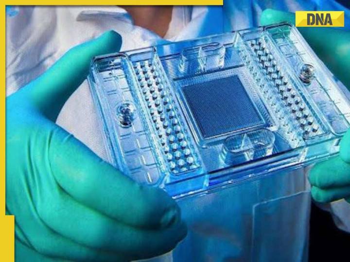Jeevan Bandharapu Redefines Reliability in Healthcare Technology