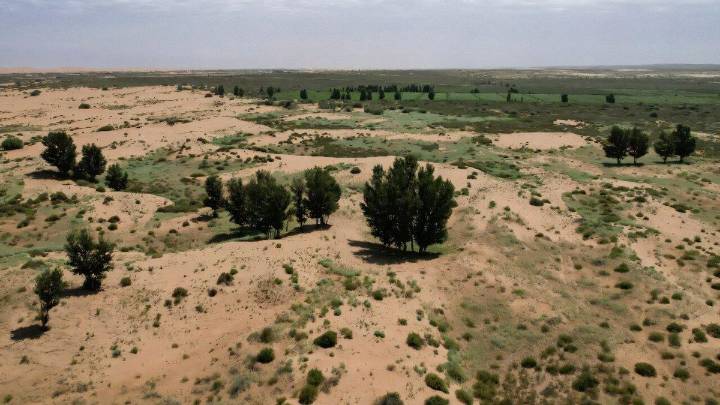 La reforestación de China ya equivale a casi dos veces España: así lo consiguen