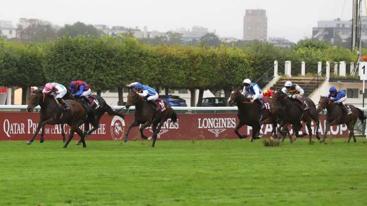 Qatar Prix de l'Arc de Triomphe: Jamie Lynch's horse-by-horse guide to Sunday's big race at Longchamp