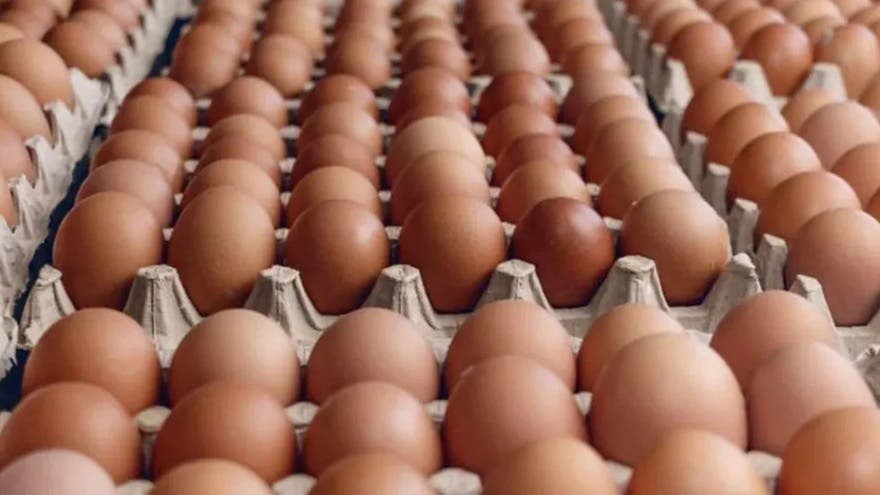 Con el consumo récord de huevos, quieren imponer los "mega maples" (60 en lugar de 30)